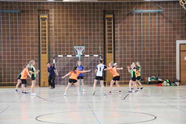 2017_01_08 Landesliga Frauen u. J19